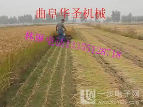 內(nèi)蒙古輪式谷物收割機 多種型號滿足谷物種植需求